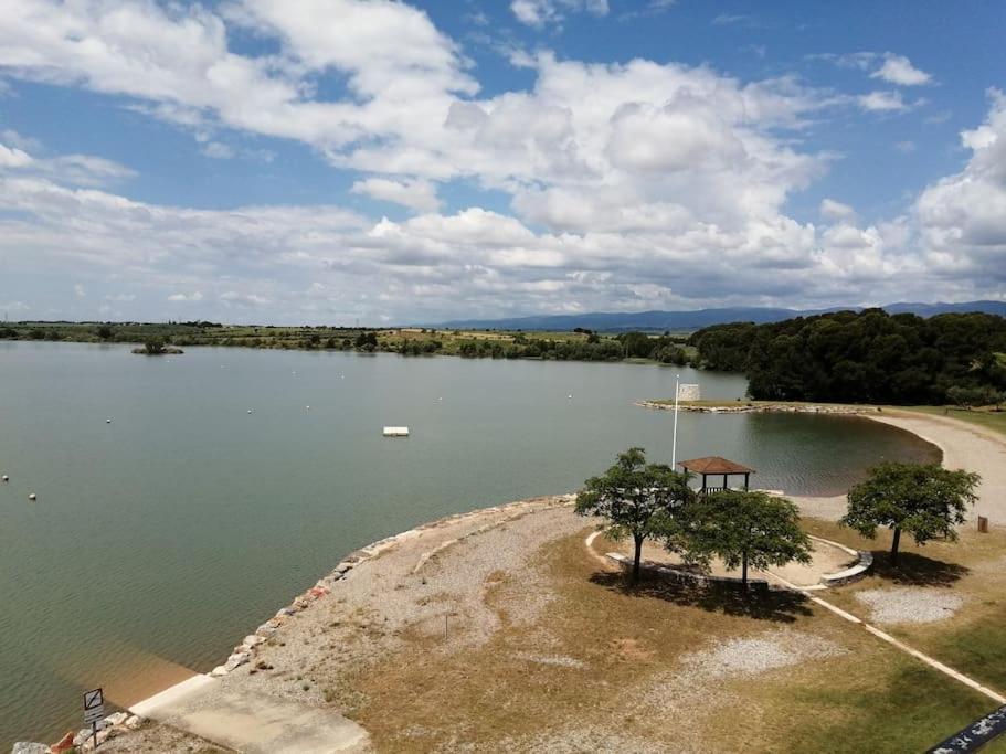 Le Soleil D Eugenie Appartement Dans Residence Avec Piscine Commune Pres De Carcassonne Olonzac Eksteriør bilde