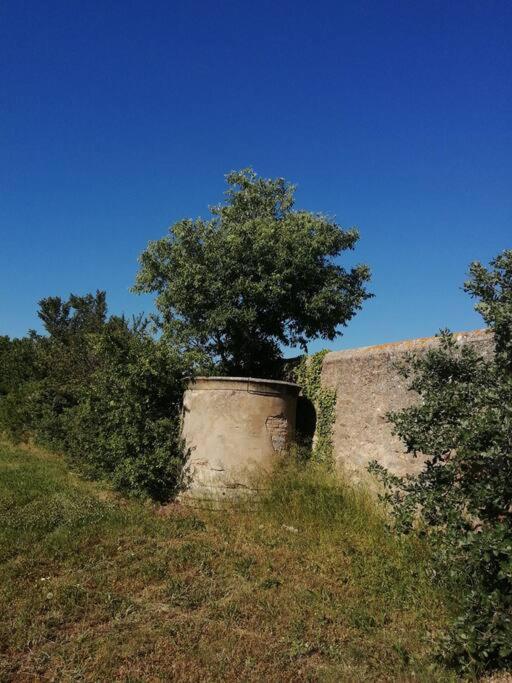 Le Soleil D Eugenie Appartement Dans Residence Avec Piscine Commune Pres De Carcassonne Olonzac Eksteriør bilde