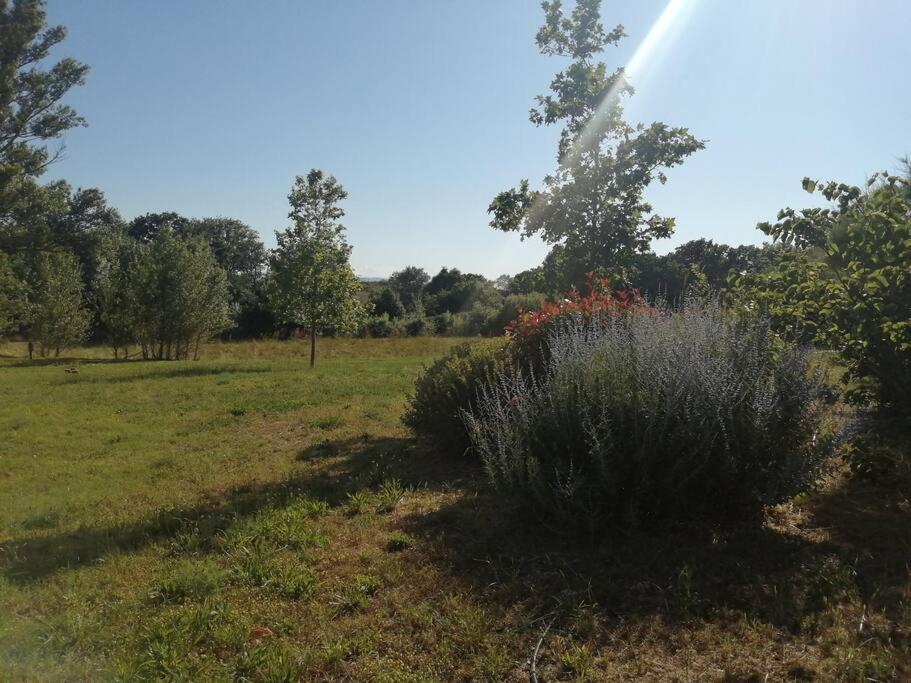 Le Soleil D Eugenie Appartement Dans Residence Avec Piscine Commune Pres De Carcassonne Olonzac Eksteriør bilde