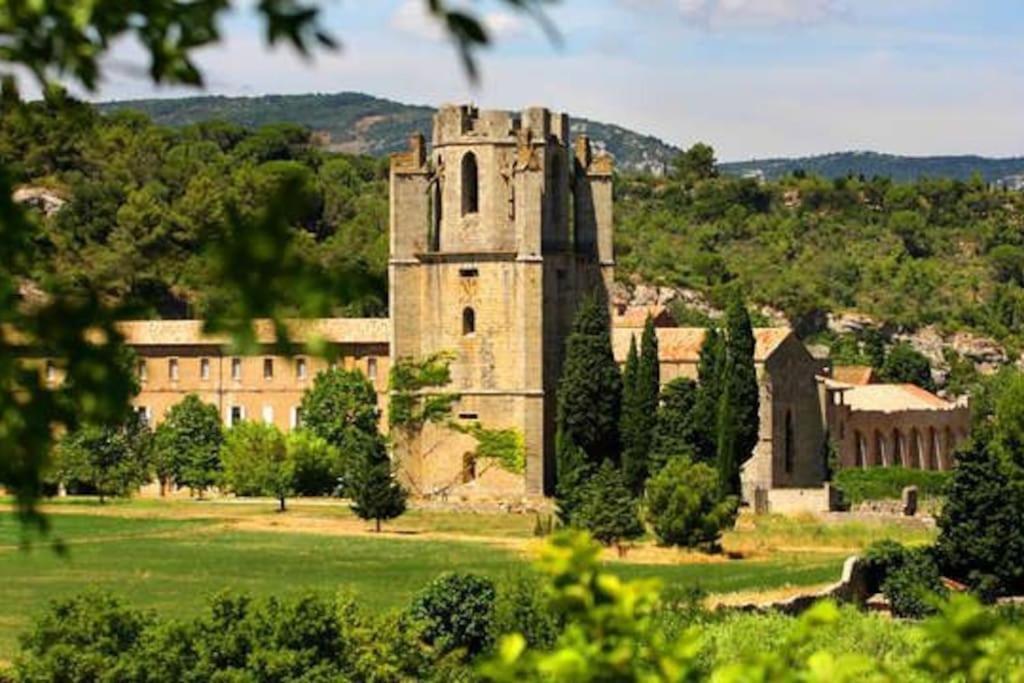 Le Soleil D Eugenie Appartement Dans Residence Avec Piscine Commune Pres De Carcassonne Olonzac Eksteriør bilde