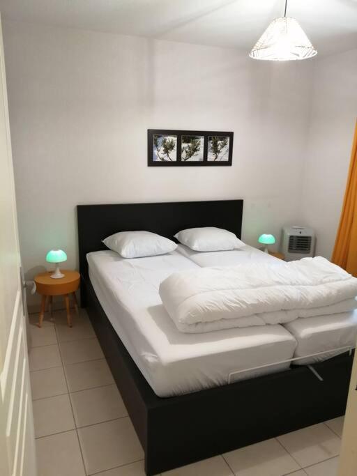 Le Soleil D Eugenie Appartement Dans Residence Avec Piscine Commune Pres De Carcassonne Olonzac Eksteriør bilde