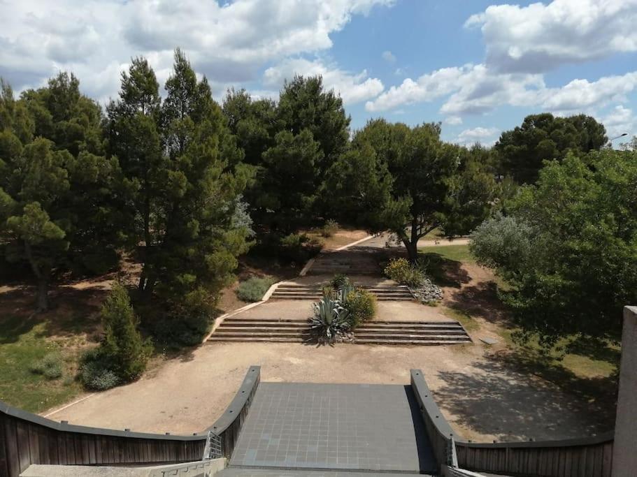 Le Soleil D Eugenie Appartement Dans Residence Avec Piscine Commune Pres De Carcassonne Olonzac Eksteriør bilde