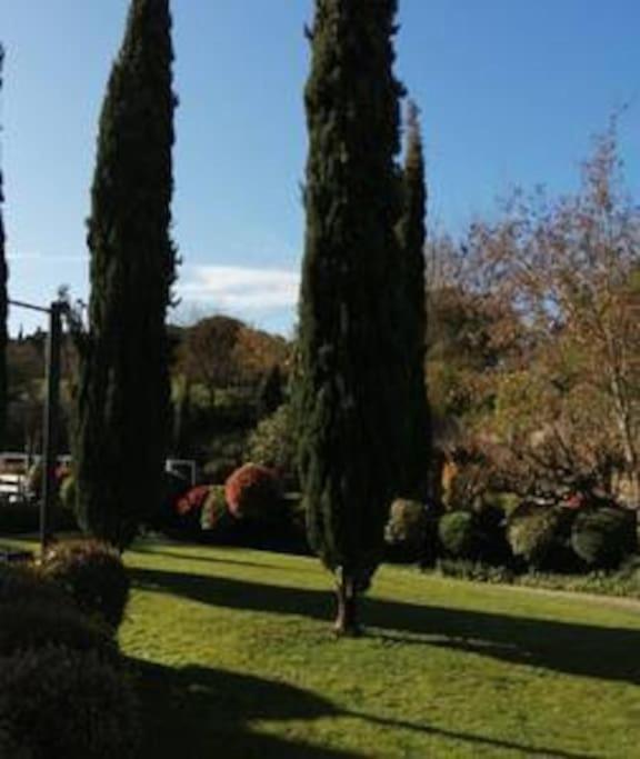 Le Soleil D Eugenie Appartement Dans Residence Avec Piscine Commune Pres De Carcassonne Olonzac Eksteriør bilde