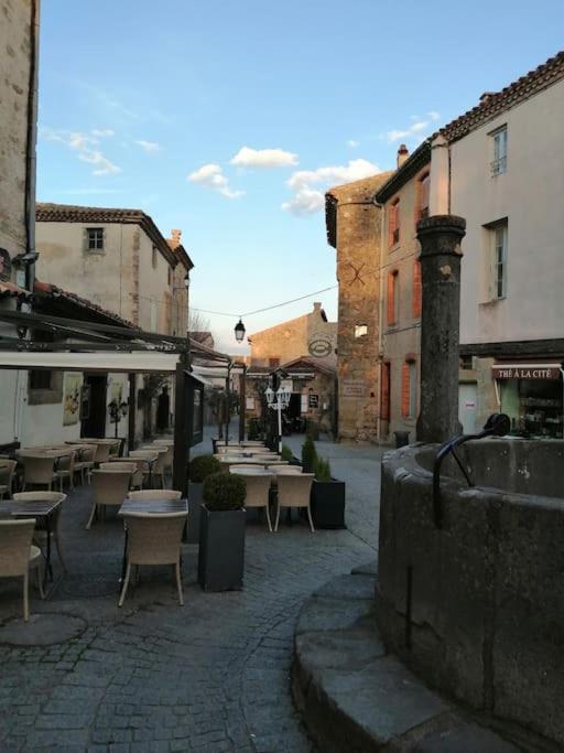 Le Soleil D Eugenie Appartement Dans Residence Avec Piscine Commune Pres De Carcassonne Olonzac Eksteriør bilde